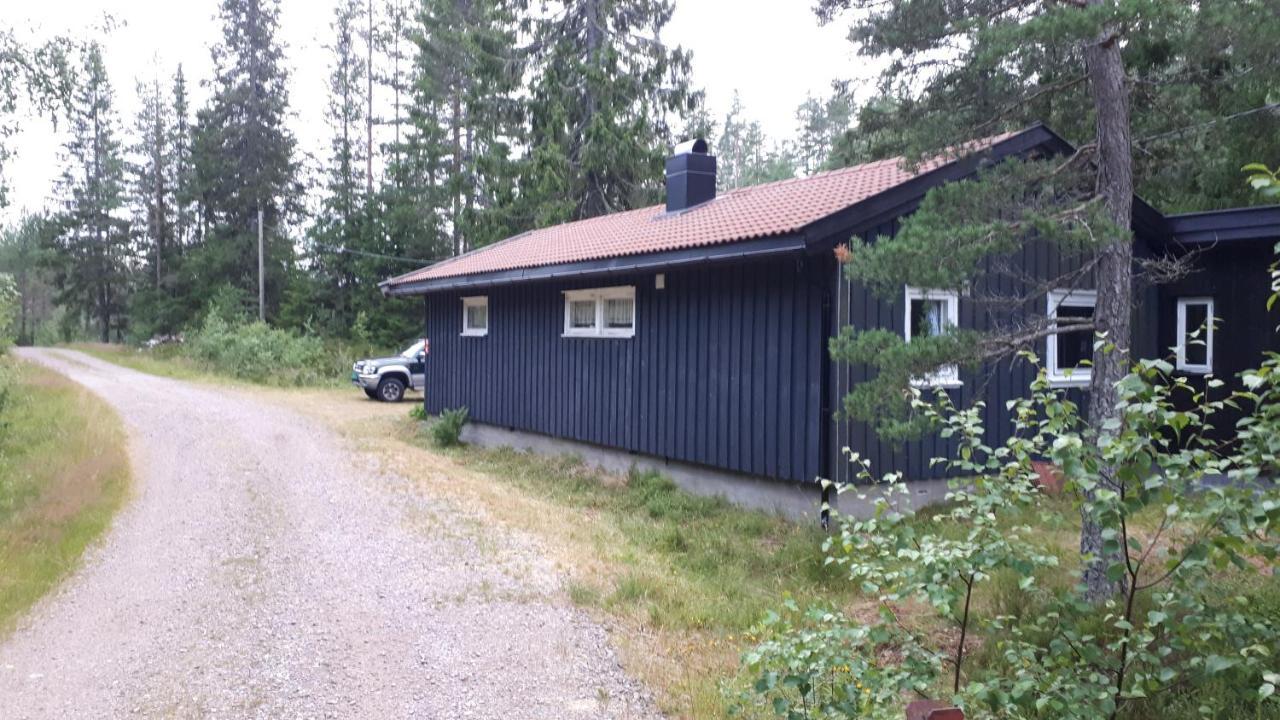 Granheim Hytte Med 2 Soverom Birkeland 외부 사진